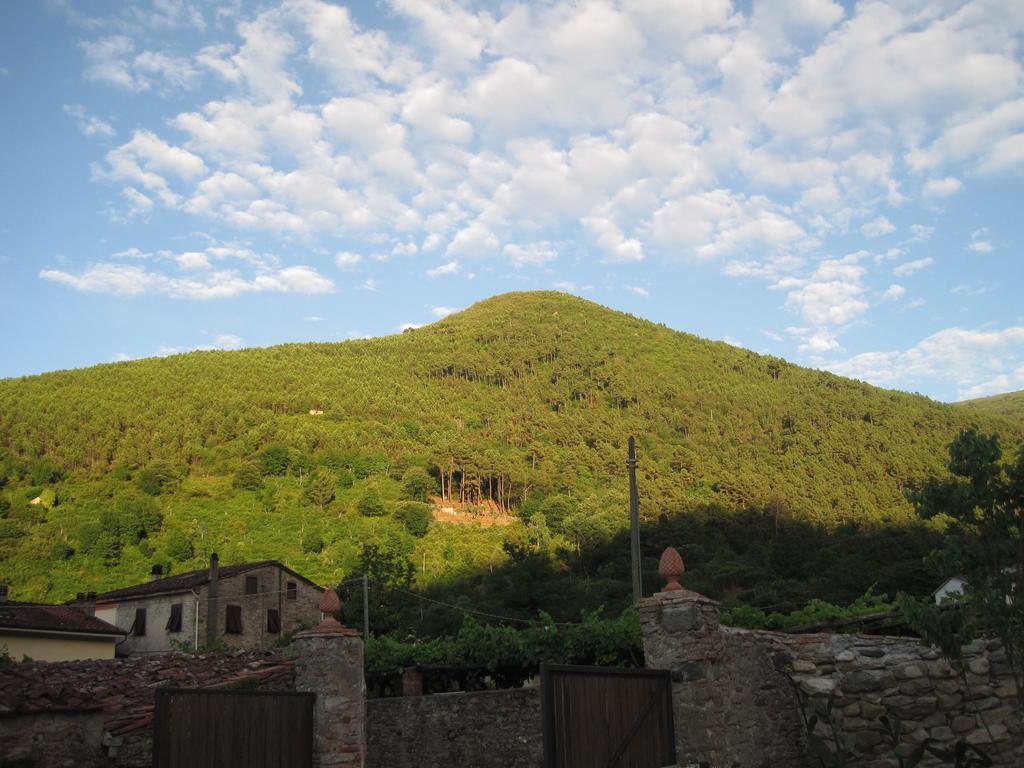 B&B Il Villano Capannori Dış mekan fotoğraf