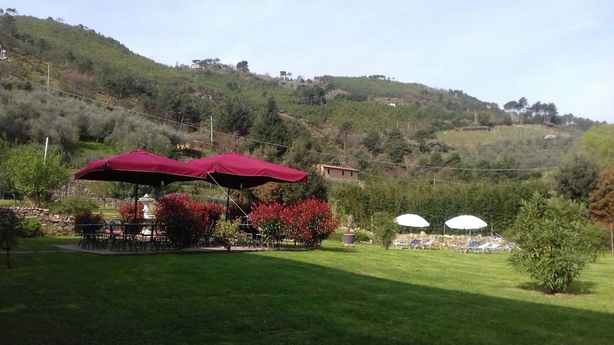 B&B Il Villano Capannori Dış mekan fotoğraf